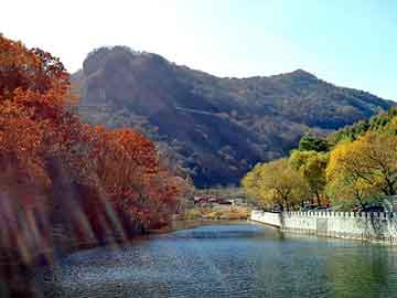 新澳天天开奖资料大全旅游团，中华酷宝论坛